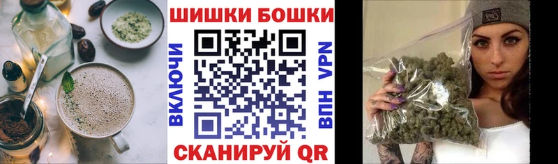 купить  цена  Котельнич  Canna-Cookies конопля 