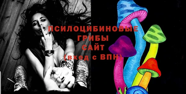 хмурый Сатка